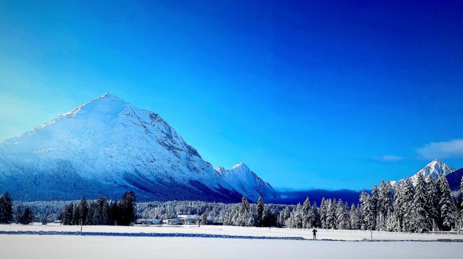 Mountain Apart Katzenkopf Leutasch Exteriér fotografie